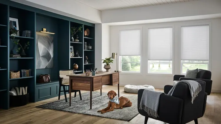 Alta cellular honeycomb shades in a commercial office space
