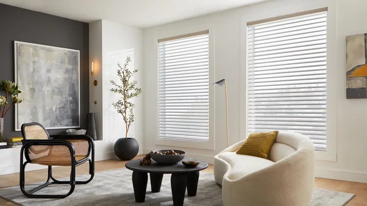 Alta sheer shadings diffusing natural light in a commercial office