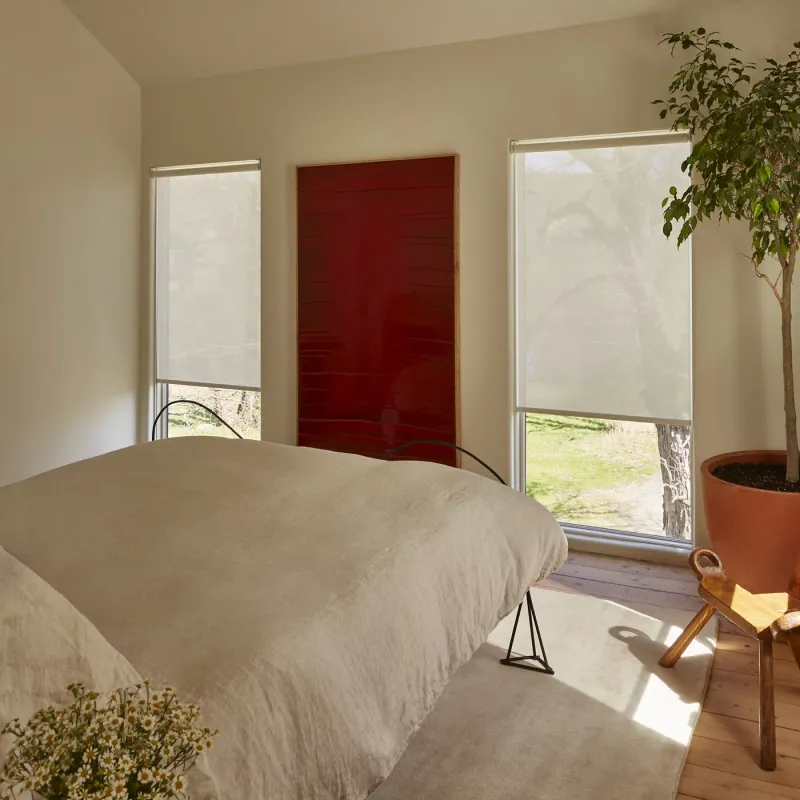 Hunter Douglas Designer Roller Shades in a modern commercial office