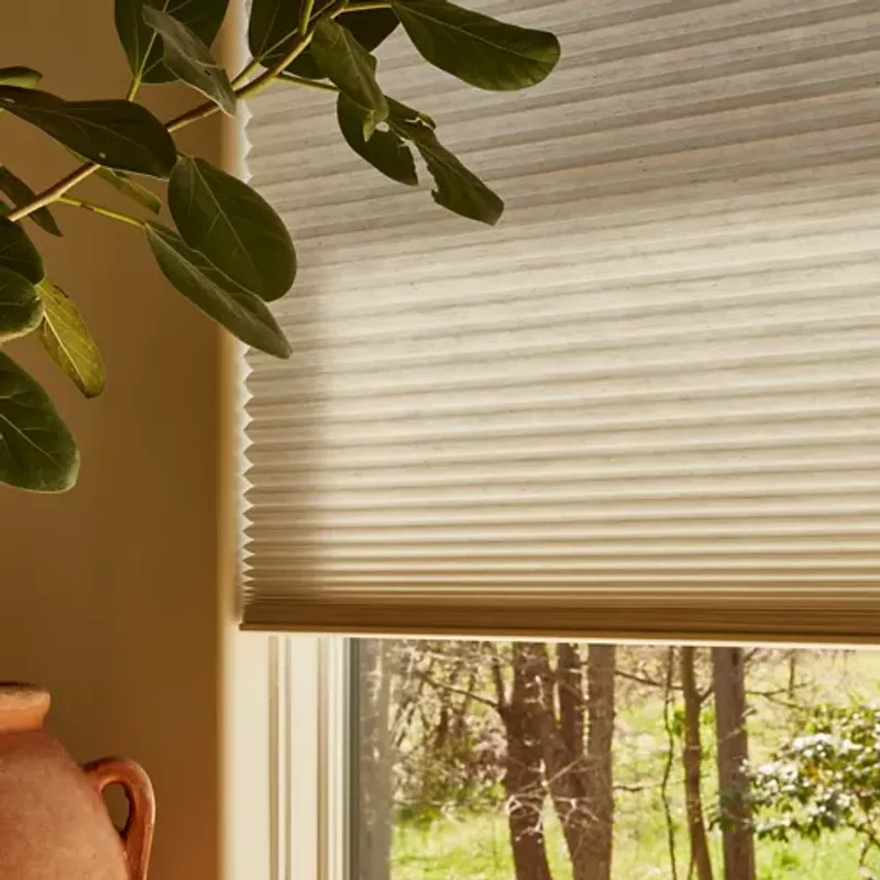 Hunter Douglas Duette honeycomb shades in commercial office