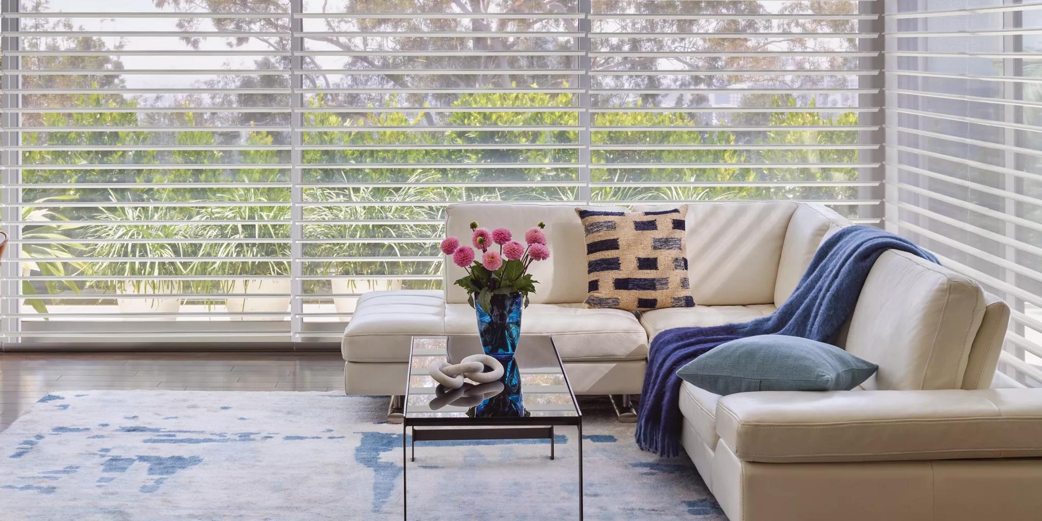 Hunter Douglas Silhouette sheer shades in a commercial office lobby